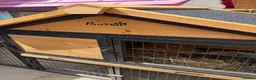 Mixed Breed rabbits for sale: Cage Rabbit/ hens/ any animal outside run  - Advert 7
