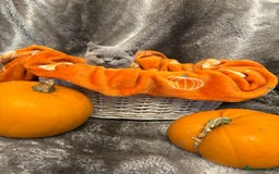 British Shorthair cats for sale: Beautiful British shorthair kittens for sale - Image 7