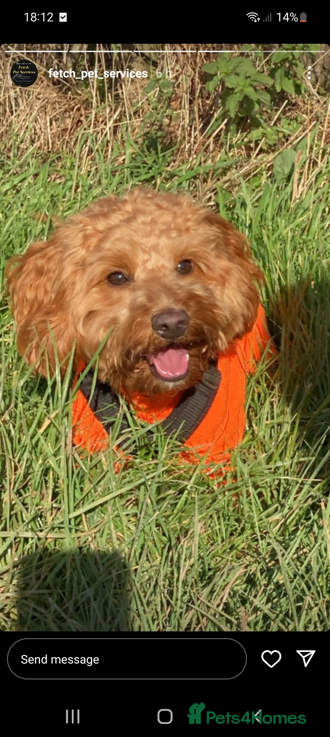 Gallery Image {{count}}