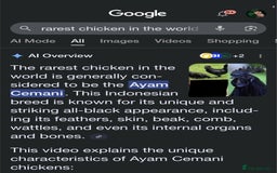 Chickens poultry for sale: RARE Ayam Cemani chicks - Image 6