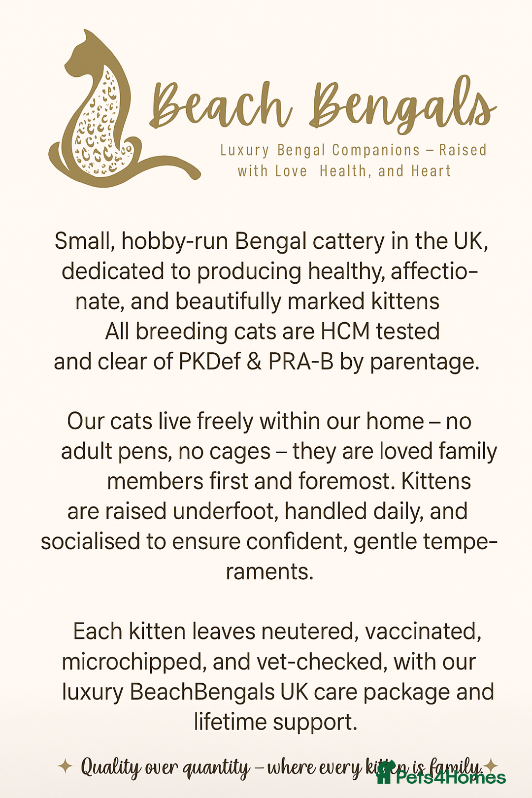 Bengal cats for sale: 💙Stunning Silver Mink Bengal TICA registered  - Image 40