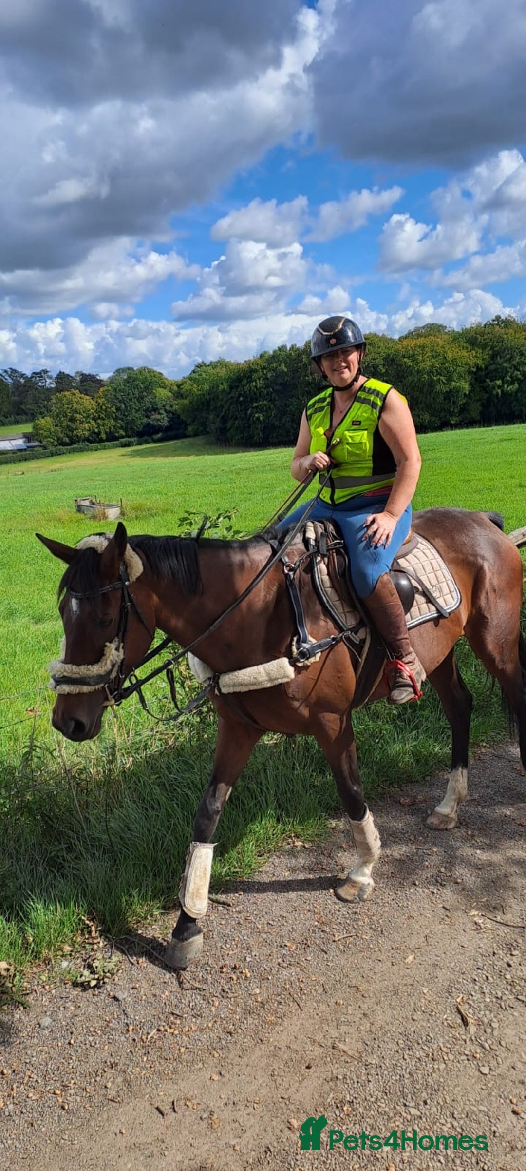 Irish Sports horses for sale: Teens horse / mother / daughter share - Image 8
