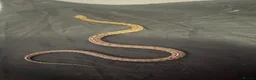 Corn Snake reptiles for sale: 2x corn snakes 1x mourning gecko with full setups - Advert 15