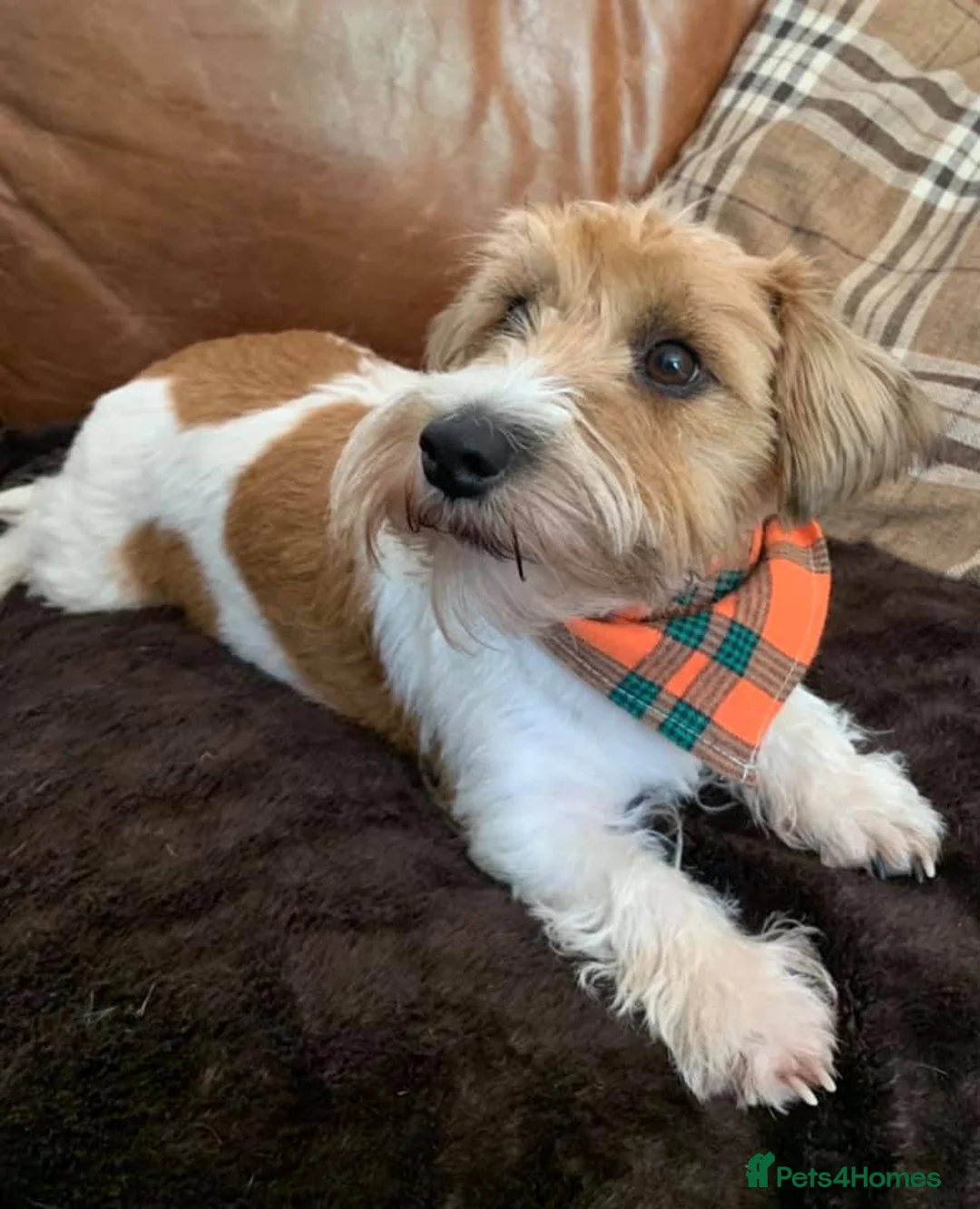 Gallery Image {{count}}