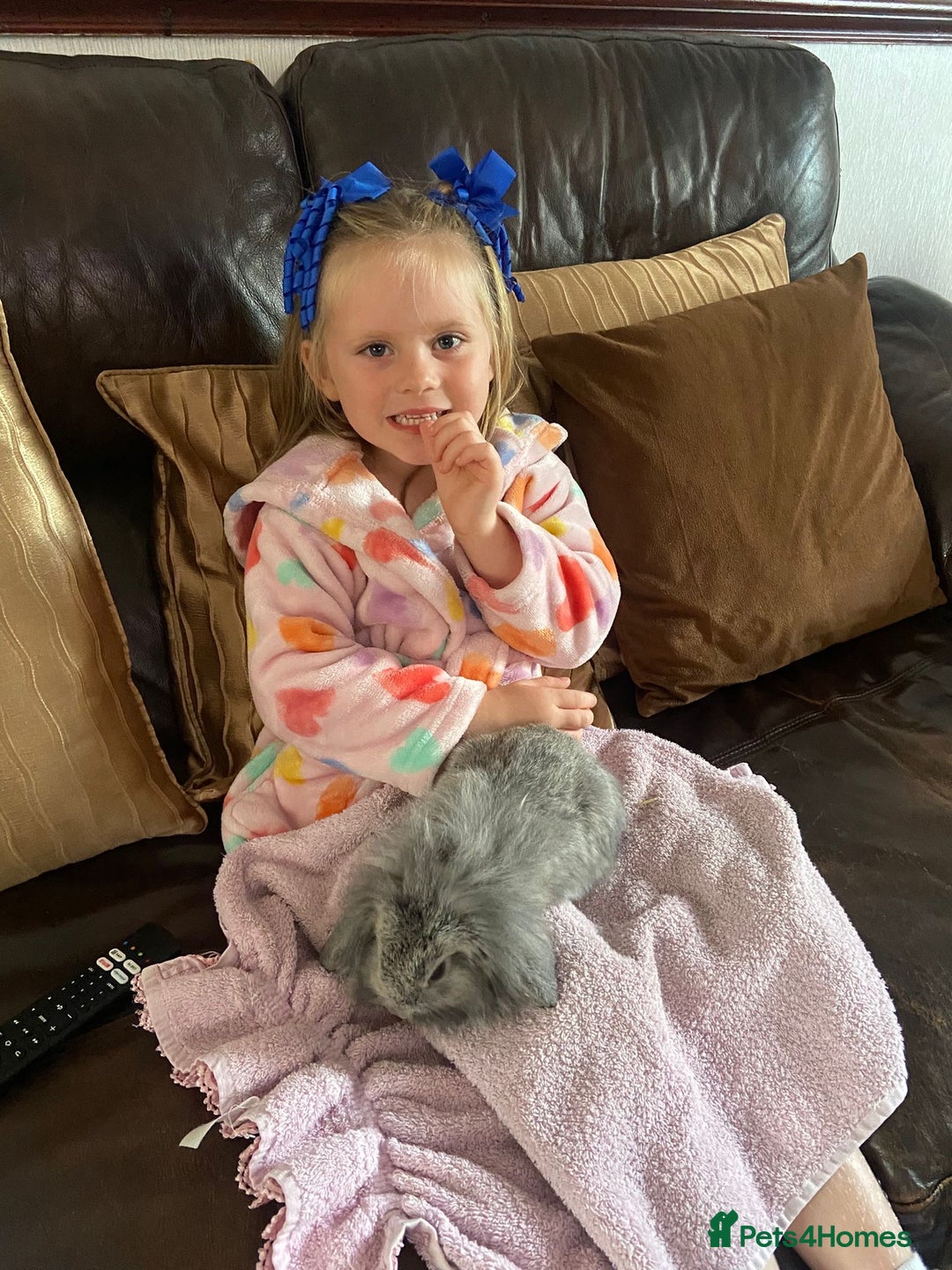 Mixed Breed rabbits for sale: Baby Lionheads Looking For Homes  - Image 15