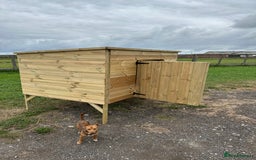 Chickens poultry for sale: Chicken Coops - excellent quality - British Made - Image 2