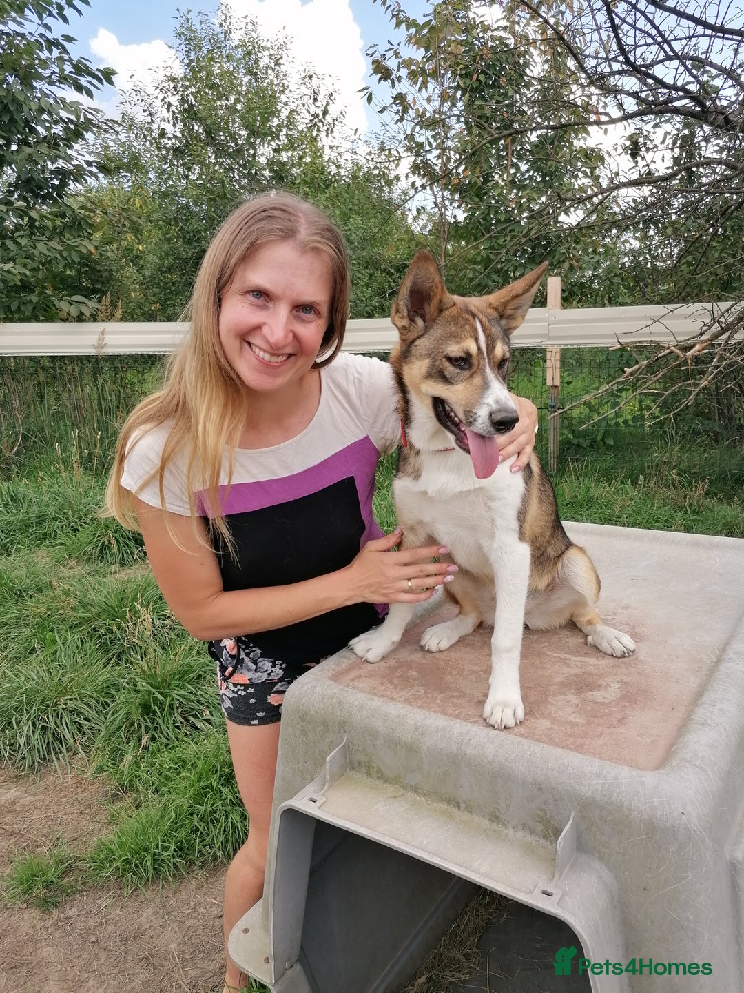 Mixed Breed dogs for adoption: 💖🐶 ZEENA 🐶💖 - Image 12