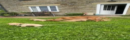 Cockerdor dogs for sale: Stunning Cockerdor puppies - Advert 2