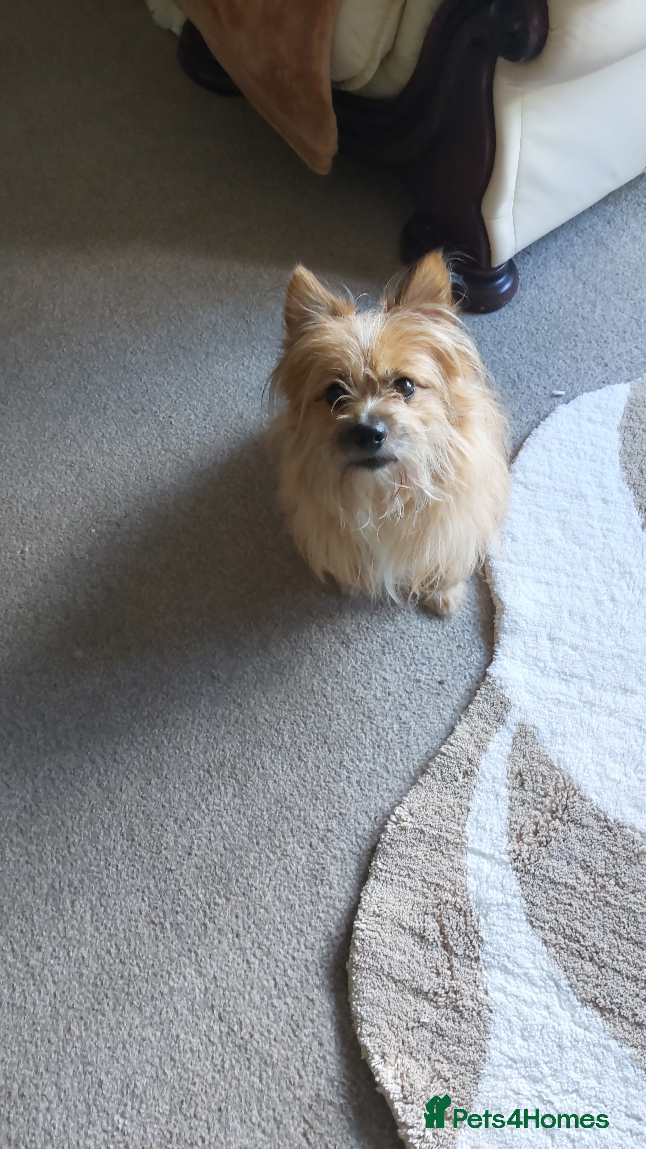 Max