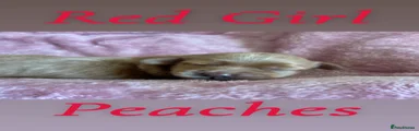 Peaches 