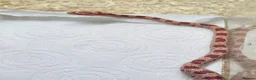 Corn Snake reptiles for sale: Corn snake  in Leicester - Advert 28