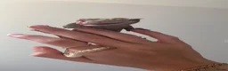Gecko reptiles for sale: Male crested gecko  in Littlehampton - Advert 5