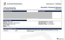 Miniature Dachshund dogs for sale: Miniature dachshunds (pink carriers)  - Image 6