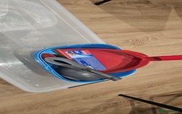 Tortoise reptiles for sale: 4YO (f) hermann & 3YO (f) spur tighed tortoise  - Image 11