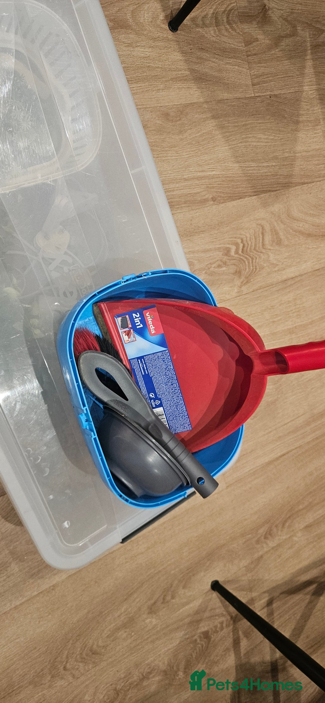 Tortoise reptiles for sale: 4YO (f) hermann & 3YO (f) spur tighed tortoise  - Image 11