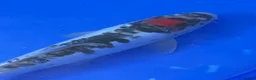 Koi Carp fish for sale: Large Koi Carp 10-12 & 12-14 Inch Stunning Koi - Advert 9