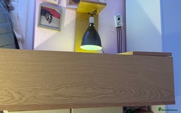 Tortoise reptiles for sale: Male spur thighed tortoise - Advert 9