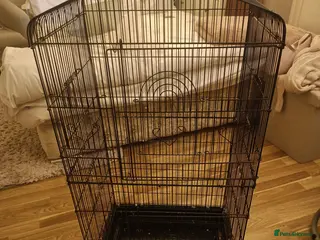 Budgerigars birds A bird cage in good condition - Advert 18