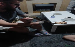 Python Snake reptiles for sale: Royal python  - Advert 2