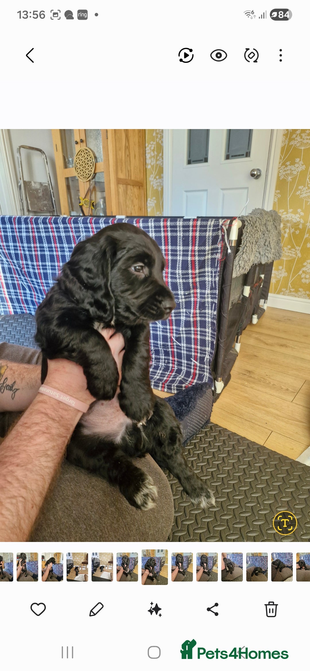 Gallery Image {{count}}