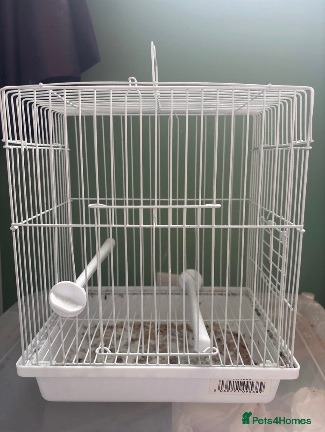 Finches birds for sale: Zebra Finches + Cage Setup - Image 8