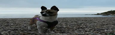 Mia