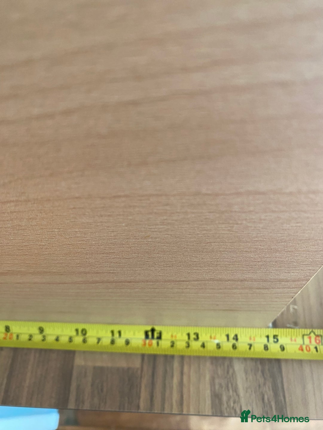 Corn Snake reptiles for sale: 10 years old comes with full set up - Advert 9