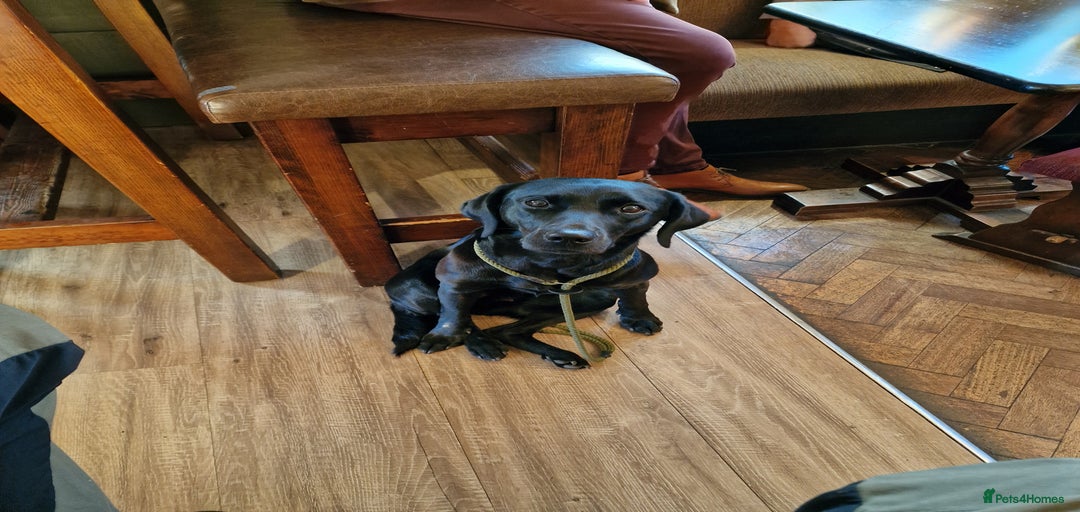 Gallery Image {{count}}