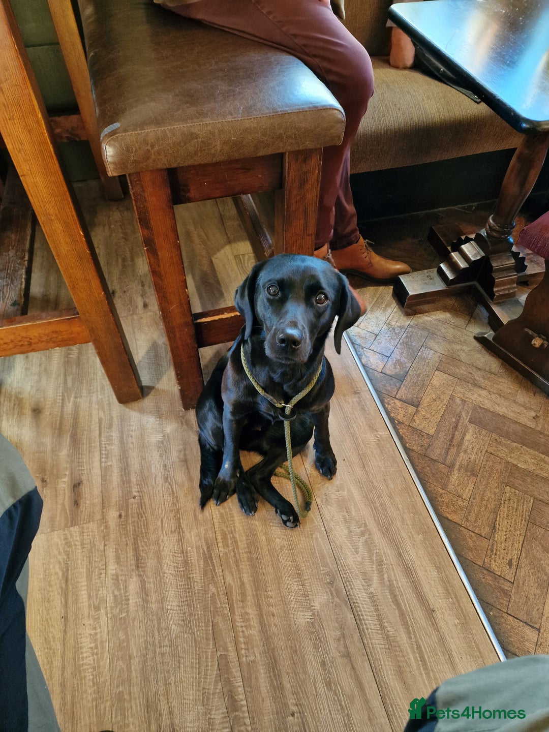 Gallery Image {{count}}