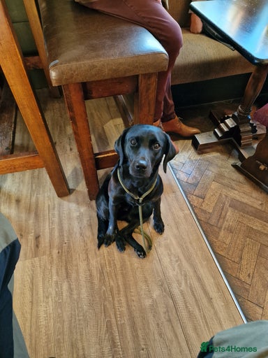 Gallery Image {{count}}