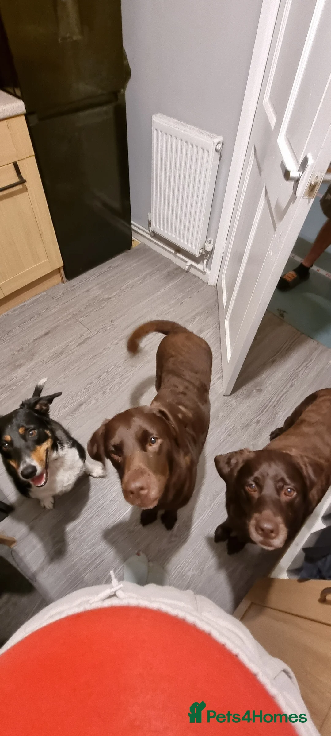 Gallery Image {{count}}