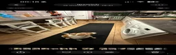 Bocker dogs for sale: Bocker puppies for sale in Ipswich - Advert 4