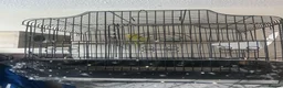Budgerigars birds for sale: Cute budgies - Advert 3