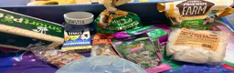 Hamster rodents for sale: Hamster, cage and extras  in Tamworth - Advert 4
