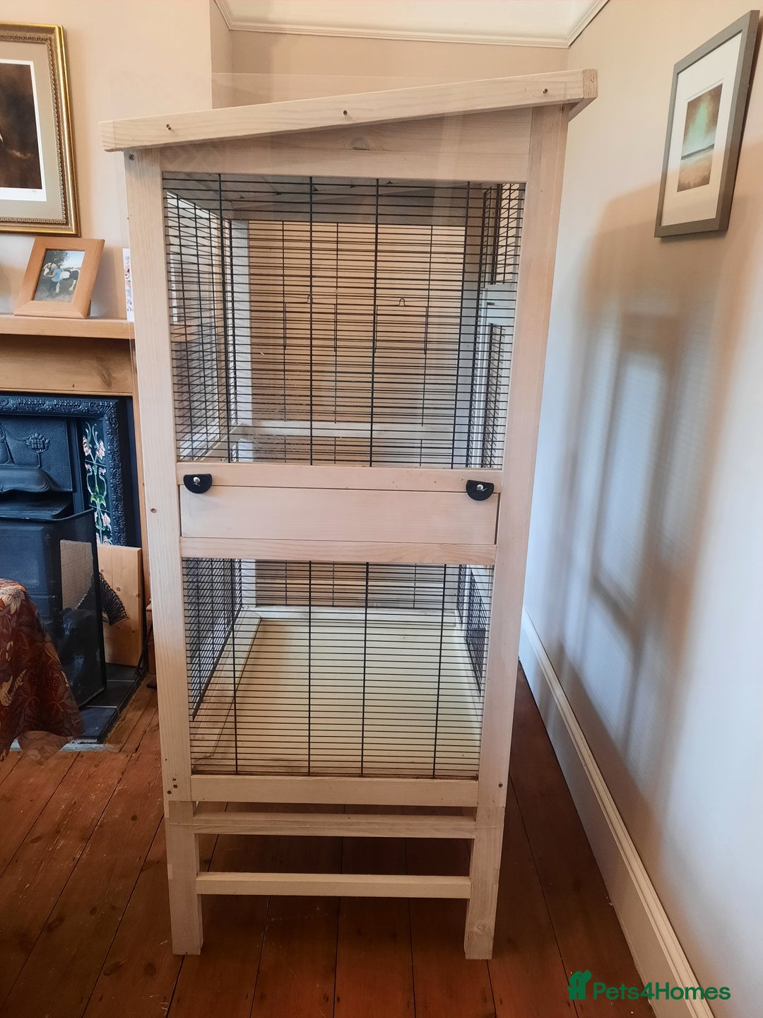 Finches birds for sale: Bird cage & accessories  - Image 2