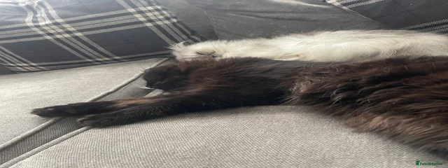 Salem