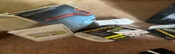 Tortoise reptiles for sale: Horsefield Tortoises Breeding Pair - Advert 6
