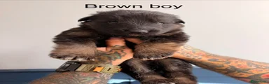 Brown boy 