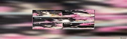 Mixed Breed cats for sale: 5 Beautiful Kittens Looking for Forever Homes - Advert 2