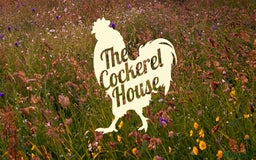 Mixed Breed livestock for sale: White Rhea Chicks & Hatching Rhea Eggs - Image 8
