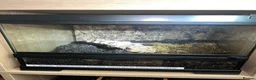 Tarantulas invertebrates for sale: 13 tarantulas and enclosures  in Manchester - Advert 19