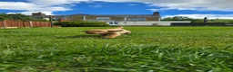 Labrador Retriever dogs for sale: KC Reg Working Fox Red Labrador  - Advert 8
