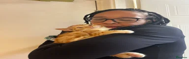 Cookie