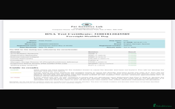 English Springer Spaniel dogs for sale: English springer spaniel puppies  - Image 7