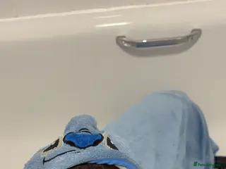 Mixed Breed dogs Dachshund cross named Hudson - Advert 1