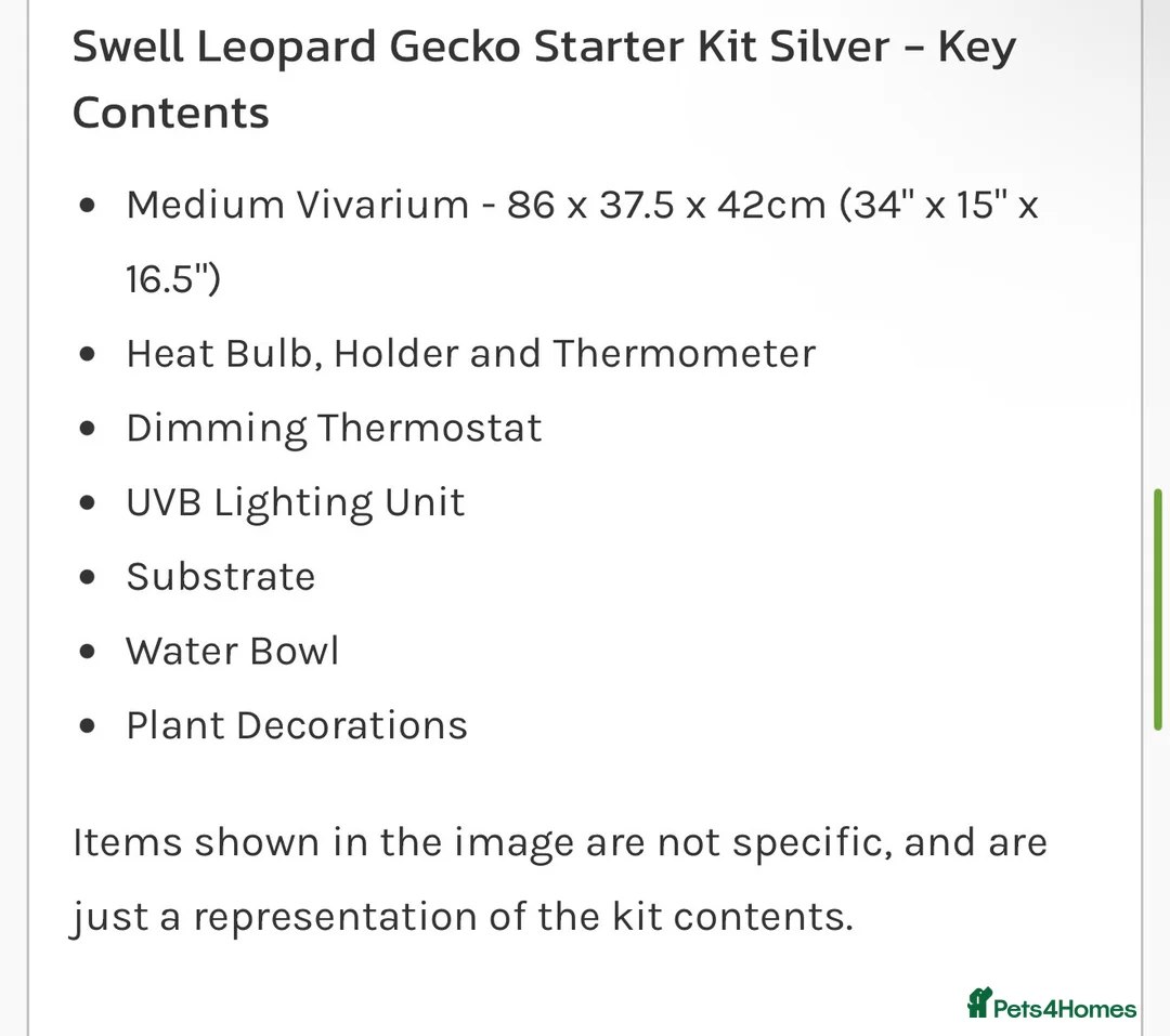 Leopard Gecko reptiles for sale: leopard gecko for rehoming with full set up  in Bilston - Advert 10