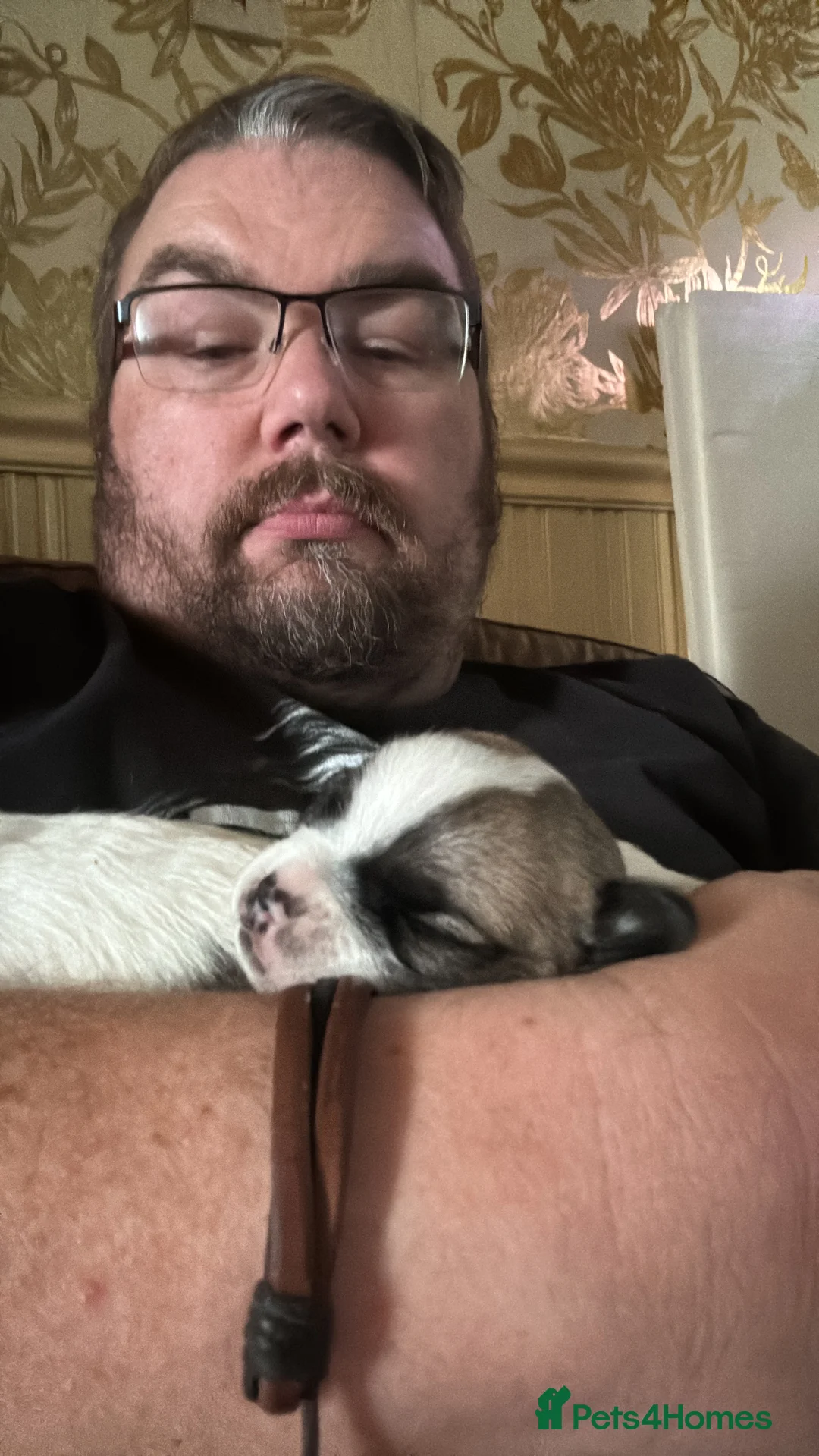 Gallery Image {{count}}