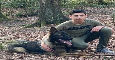 German Shepherd dogs TOP CHAMPION LINE GERMAN SHEPHERD PUPPIES FOR SALE - Advert 7