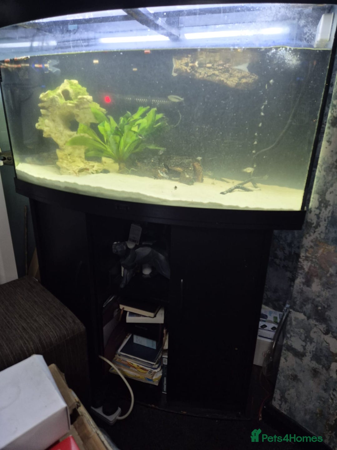 Other/Mixed Breed fish for sale: Fluvel fish tank complete set up  - Advert 20