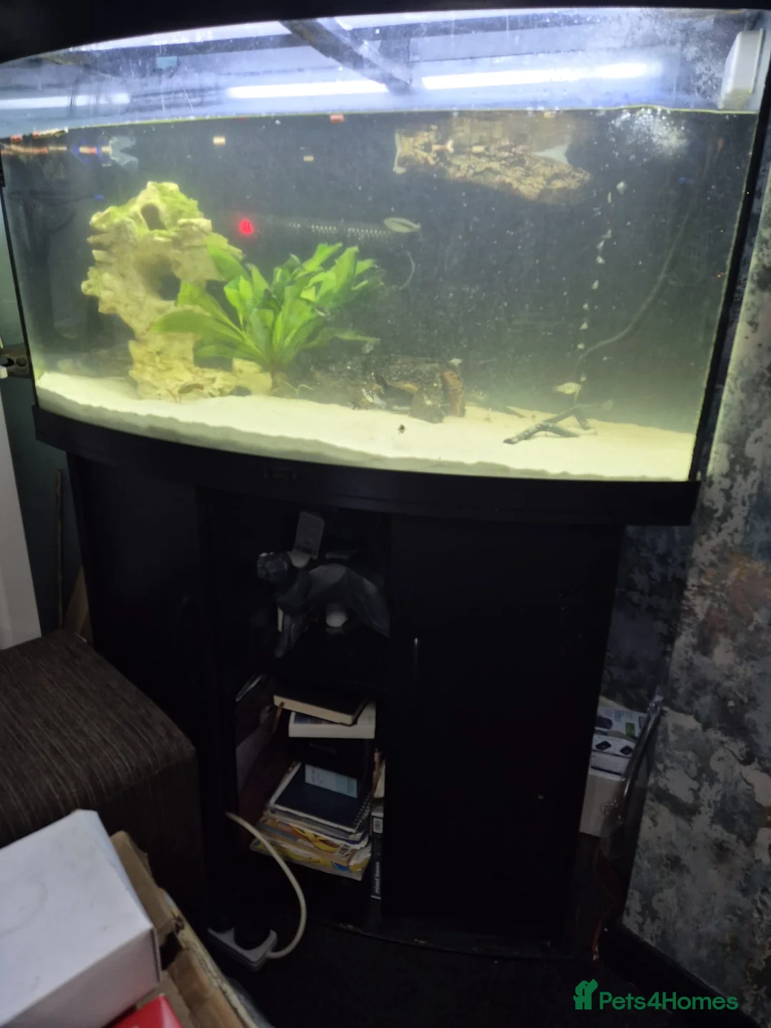 Other/Mixed Breed fish for sale: Fluvel fish tank complete set up  - Advert 20